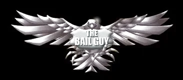 DavidTheBailGuy.Com